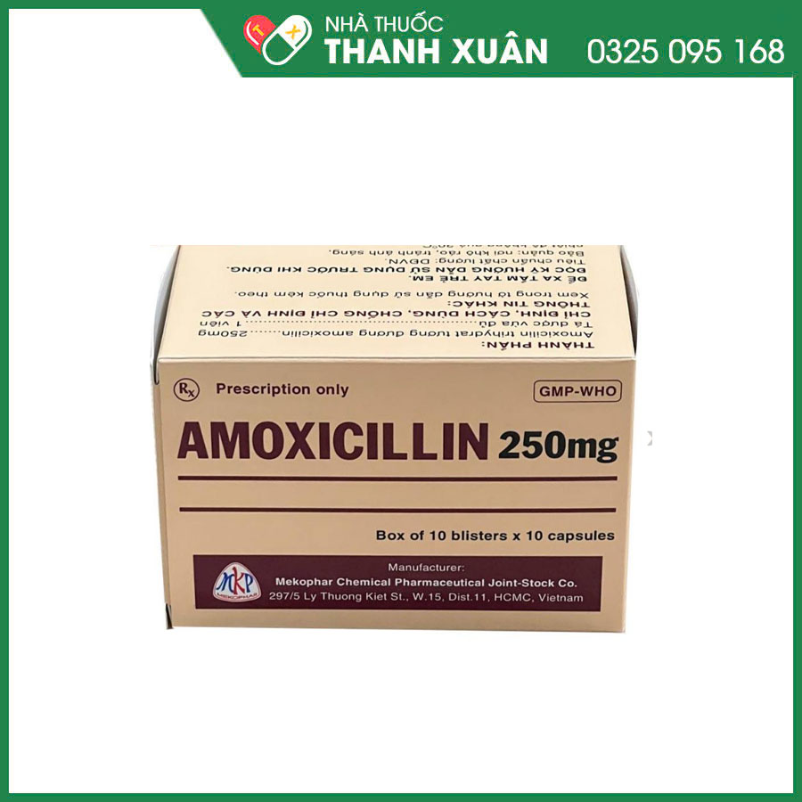 Amoxicillin 250mg Mekophar thuốc kháng sinh điều trị nhiễm khuẩn hô hấp, đường mật, tiêu hoá, tiết niệu - sinh dục và nhiễm khuẩn da